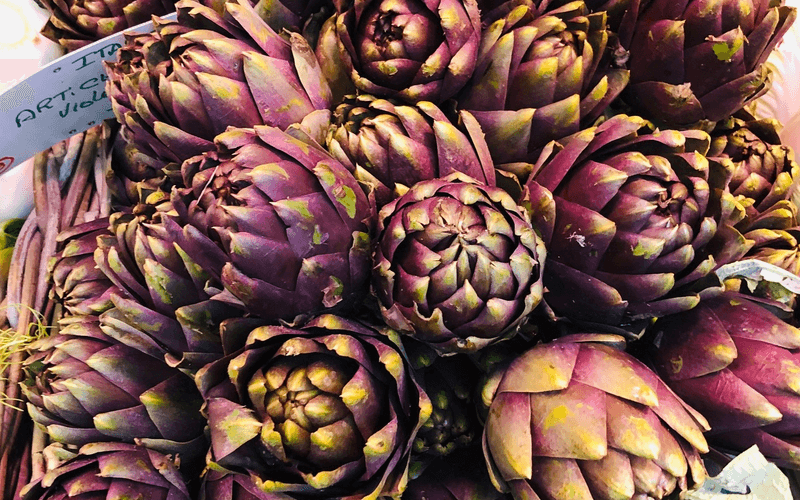 Artichoke - Violet Star - SeedsNow.com