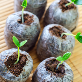 Organic PODS seed starting soil pods for planting, showing small biodegradable containers filled with seed-starting soil.
