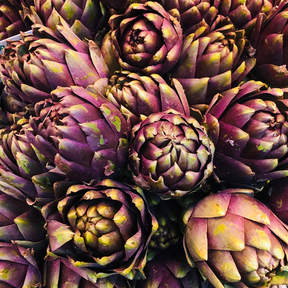 Violet Star artichoke seed packet from SeedsNow, featuring a vibrant purple artichoke illustration on the front.